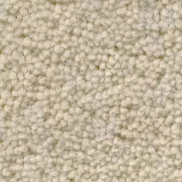 Samur Standart Koleksiyon Elegant Serisi Tufting Kontrat Halısı